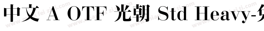 中文 A OTF 光朝 Std Heavy字体转换